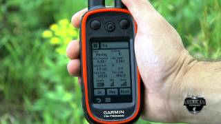 GARMIN ALPHA TRACK AND TRAIN YOUR DOGS [upl. by Kired]