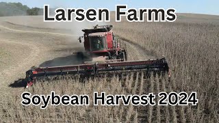 Larsen Farms Soybean Harvest 2024 [upl. by Kovar]