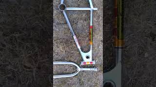 1981 mongoose motomag supergoose bmx bike build [upl. by Nivan175]