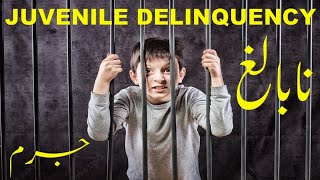 JUVENILE DELINQUENCYSOCIOLOGYFACTORS CAUSE PREVENTIVE MEASURESJUVENILE JUSTICE SYSTEM [upl. by Castle]