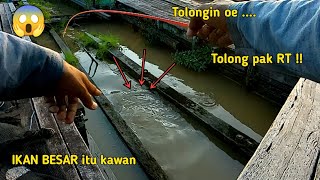 Jangan di coba  Niat mancing ikan kecil malah ber akhir seperti ini [upl. by Lehet631]