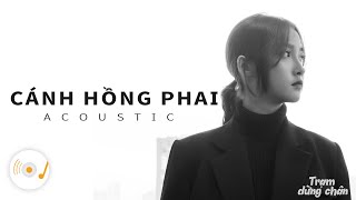 CÁNH HỒNG PHAI  NHỮNG BẢN ACOUSTIC COVER NHẸ NHÀNG GÂY NGHIỆN HAY NHẤT 2021 6 [upl. by Ayam887]