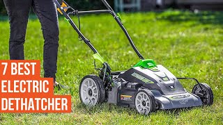 7 Best Electric Dethatchers  Best Dethatchers for Lawn [upl. by Thunell]