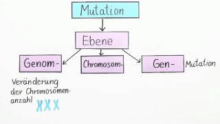 Mutation von Genen  Biologie  Genetik [upl. by Ofella674]