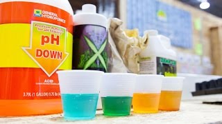 A Beginners Guide Hydroponic Nutrients [upl. by Kramlich]