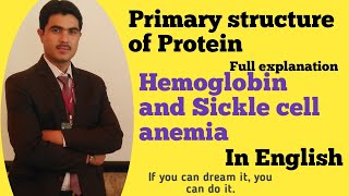 Primary structure of protein in Detail in English by Dr Hadi [upl. by Levona]