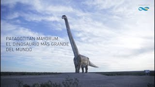 Patagotitan mayorum el dinosaurio más grande del mundo [upl. by Rella]