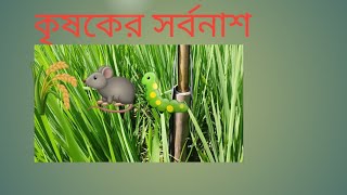 কৃষকের সর্বনাশ 🦫🌾🐛doyel agro [upl. by Janicki]