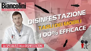 💯Disinfestazione tarli dei mobili il sistema efficace al 100💯 [upl. by Arat]