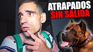 ATRAPADOS SIN SALIDA EN UN PUEBLO ABANDONADO POR 4 PERROS GIGANTES [upl. by Ki]