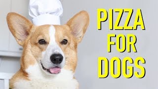 PIZZA FOR DOGS  Topi the Corgi [upl. by Nora703]