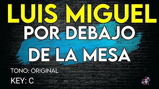 Luis Miguel  Por Debajo De La Mesa  Karaoke Instrumental [upl. by Christiansen427]