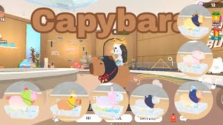 Capybara Pet Guide Combined Capybara List How to Ride  Play Together [upl. by Gretna]