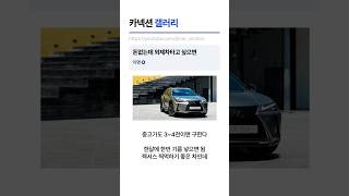 돈없는데 외제차 타고 싶으면 이 차를 사라 렉서스ux [upl. by Nolyak]