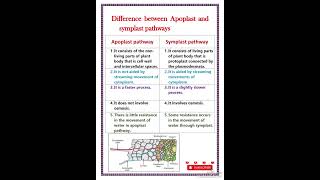 Difference between apoplast and symplast pathway [upl. by Cott]