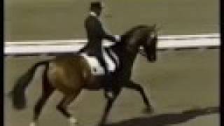 Klimke and Ahlerich  1984 Olympics Dressage [upl. by Nidla]