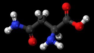 Asparagine  Asparagus Liver Function Cells Nerves Brain Diuretic Ammonia Proteins [upl. by Oza]