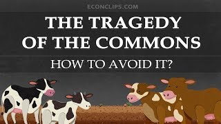 🐄 The Tragedy of the Commons  How to Avoid It [upl. by Novanod145]