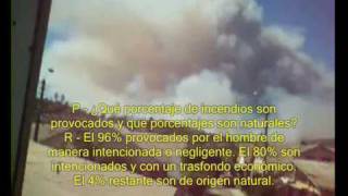 Incendio en Belloto Norte cerca del Arbol Huacho y colonos [upl. by Ohnuj]