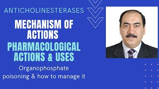 Parasympathomimetics An elaborate explanation of anticholinesterases organophosphates pharmacology [upl. by Scrivens160]