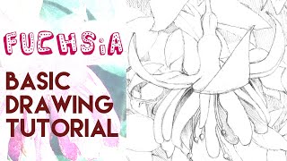 How to draw a Fuchsia Flower step by step  Drawing tutorial in REAL TIME [upl. by Kcired]