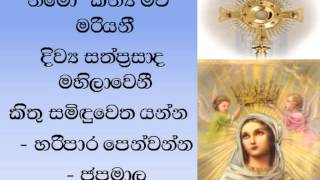 Pray to Mother Mary with this Hymn [upl. by Eisak]