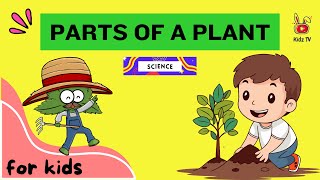 Parts of a Plant for Kids  Fun Science Learning Video  Roots Stems Leaves Flowers amp More [upl. by Inalaek672]