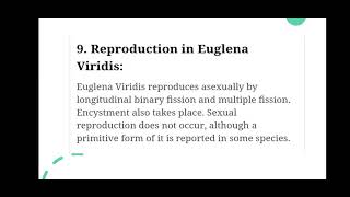 Reproduction in Euglena biology zoology reproductionineuglena [upl. by Enerahs]