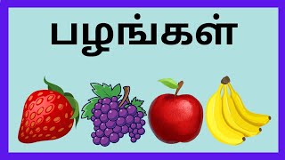 பழங்களின் பெயர்கள்Fruits Names in tamil for kidsFruits Names in Tamil [upl. by Venator]