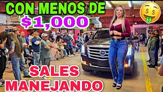 SUBASTA PUBLICA puedes comprar con licencia de tu pais Ardmore auto auction [upl. by Anneg]