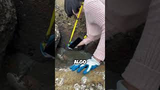 ¡Sorpresa en la Excursión Encuentran Cangrejo en un Charco 🦀✨ shorts [upl. by Lourdes194]