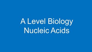 213 Nucleotides and Nucleic acids b The synthesis and breakdown of polynucleotides [upl. by Arreyt]