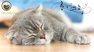 Calming Music that Gives Comfort to Cats  Deep Sleep Music with cat purring sounds [upl. by Robbi236]