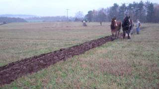 Horse Ploughing Luncarty Perthshire Scotland [upl. by Dranoel]