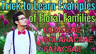 Amazing Tricks to Learn Examples of Families Solanaceae Liliaceae amp Fabaceae  NCERT Mnemonics [upl. by Llovera]