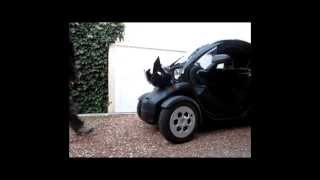 Renault Twizy  transformer le bandeau avant en capot  Transform the front panel into car hood [upl. by Nisotawulo]