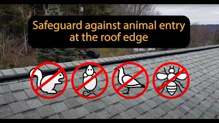 Certified RidgeGuard© Installer Varment Guard Wildlife Services  Roof Ridge Vent Protection [upl. by Cherilyn]