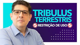 Tribulus terrestris qual a restrição de uso  Dr Juliano Teles [upl. by Nylarad117]