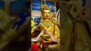 Dalai Lama Temple McLeod Ganj A Haven of Peace 🙏🏯travel shortsvideo [upl. by Delsman]