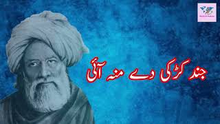 Jindh Karke They Mo Aaye  Baba Bulleh Shah Poetry  World Of Poetries [upl. by Faith711]