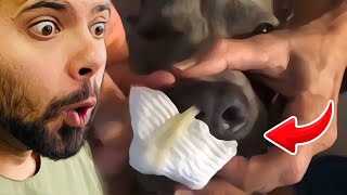 Popping huge blackheads and Giant Pimples Best Pimple Popping Videos [upl. by Gearhart]