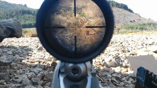 Ruger 1022 22lr shooting at 325 meters [upl. by Enneire]