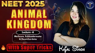 ANIMAL KINGDOM for NEET  NCERT  NEET 2025  Class 11 CBSE [upl. by Mckeon240]