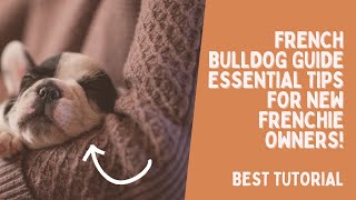 Master the Art of French Bulldog Care The Ultimate Frenchie Guide [upl. by Norraf]