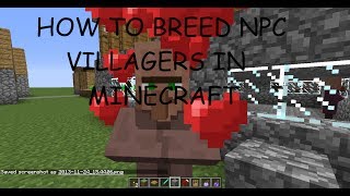 How to Breed Villagers in Minecraft 1710 HD [upl. by Siramay]