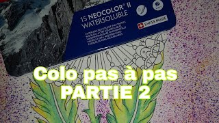 Colo pas à pas  partie 2 les feuilles aux neocolors 2 [upl. by Ireva]