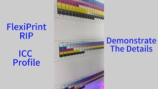 Creating ICC Profile by FlexiPrint RIP Software  DXonJet Wall Printer [upl. by Handler158]