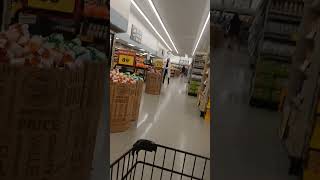 Shopping at Food Lion on SC8 Pelzer SC 972024 [upl. by Gaven157]