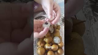 Longan Fruits Benefits [upl. by Joacima447]