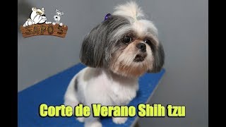 Corte de Verano Shihtzu  Estética Canina [upl. by Bradford]